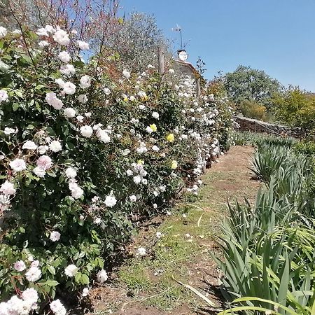 Lirios Da Granja - Casa De Campo ภายนอก รูปภาพ