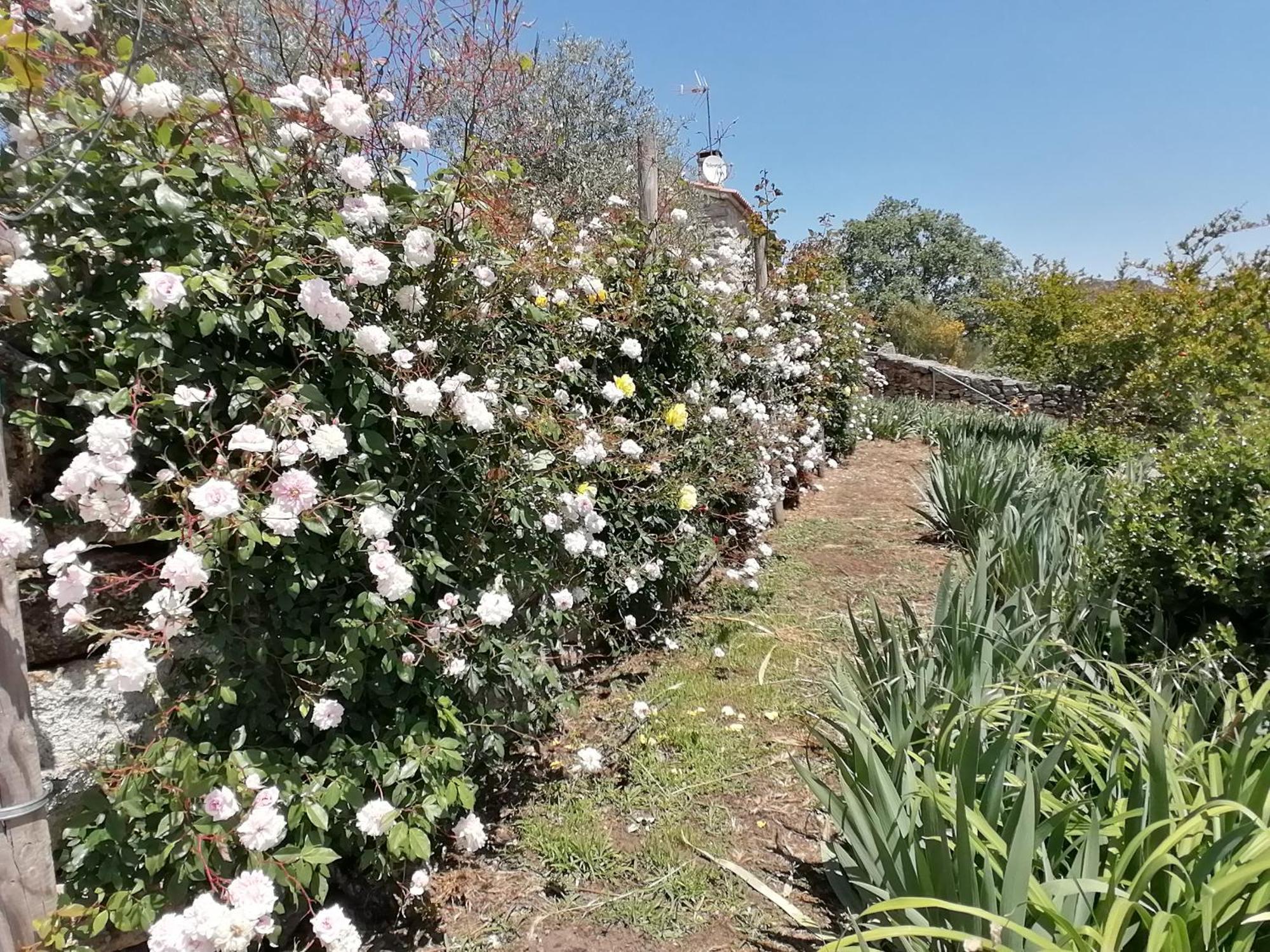 Lirios Da Granja - Casa De Campo ภายนอก รูปภาพ